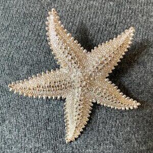 Monet starfish pendent silver tone